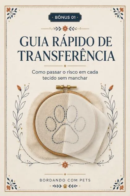 Capa do Bônus 1 — Guia Rápido de Transferência